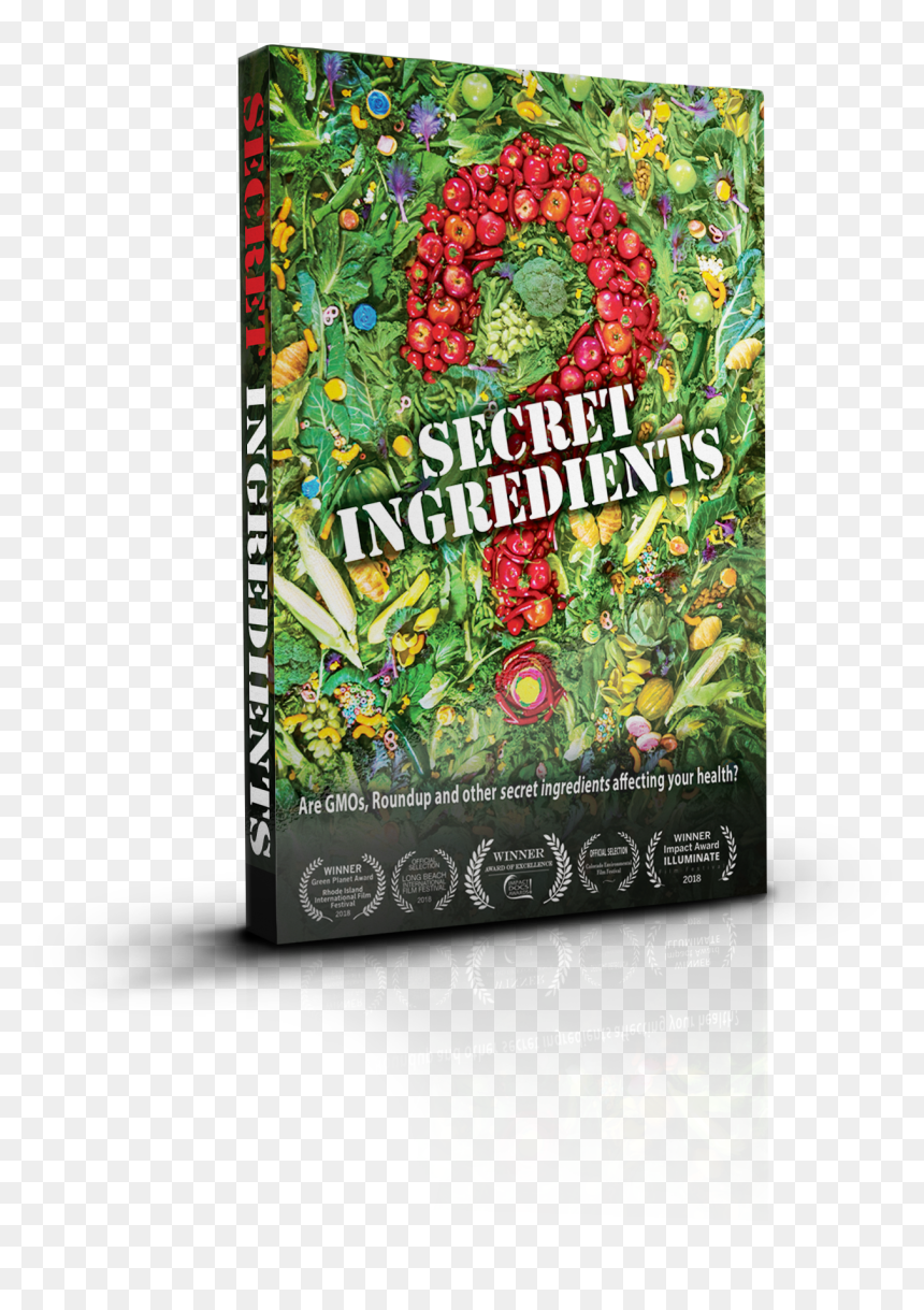 Transparent Vimeo Png - Rose, Png Download - vimeo png