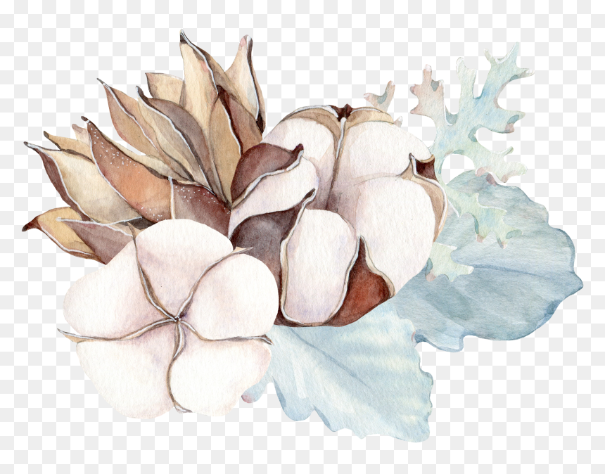 Акварель Png Зима, Transparent Png - cotton plant png