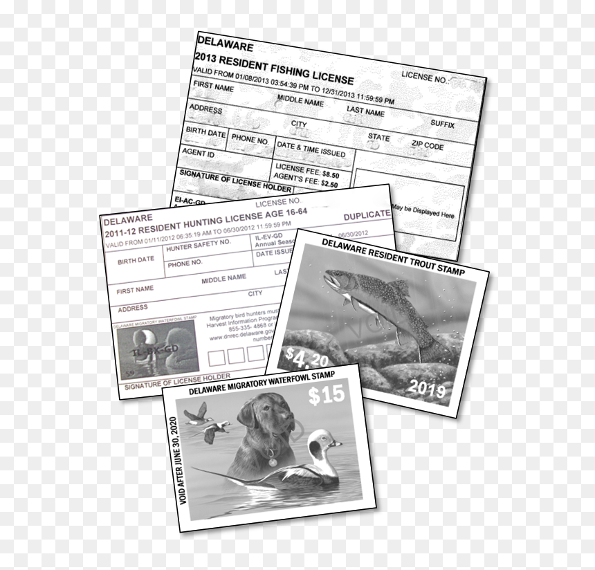 Paper, HD Png Download - photo collage png