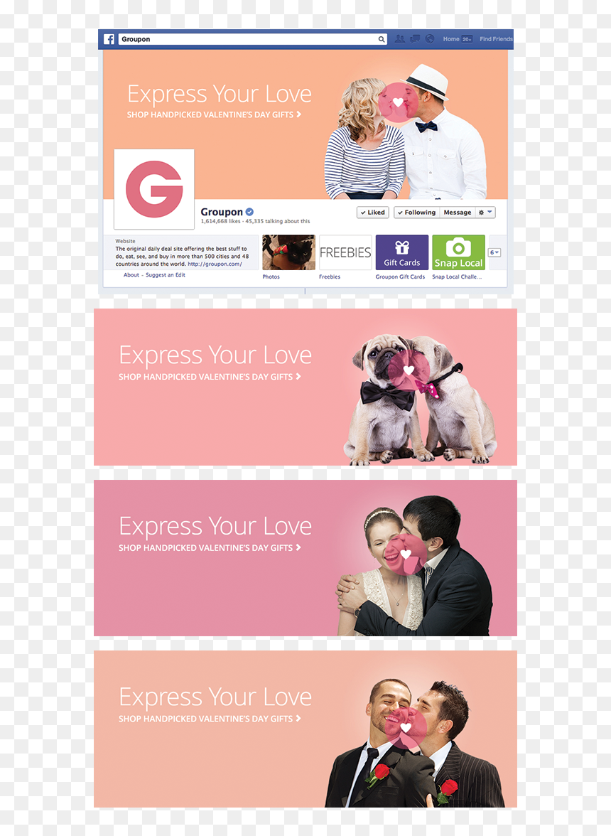 Companion Dog, HD Png Download - groupon png