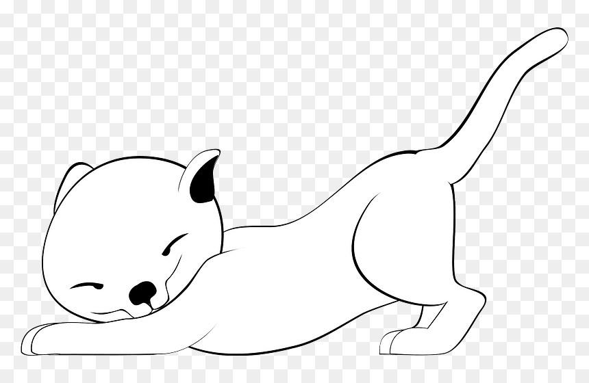 Cat, HD Png Download - happy cat png