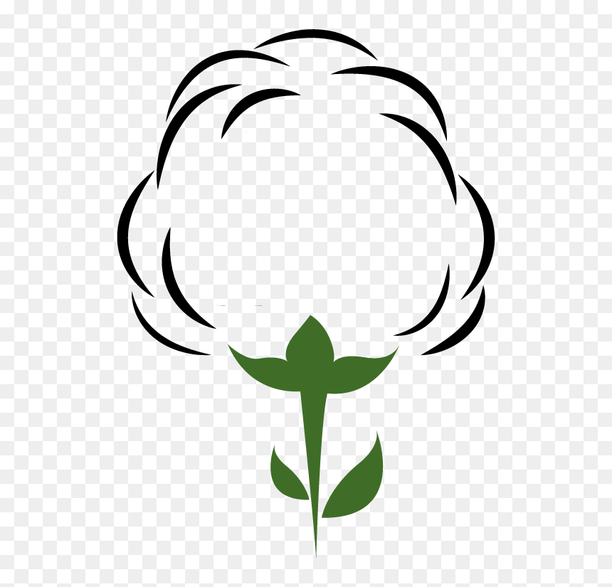 Cotton Clipart Cotton Plant, Cotton Cotton Plant Transparent - Cotton Clipart Transparent, HD Png Download - cotton plant png
