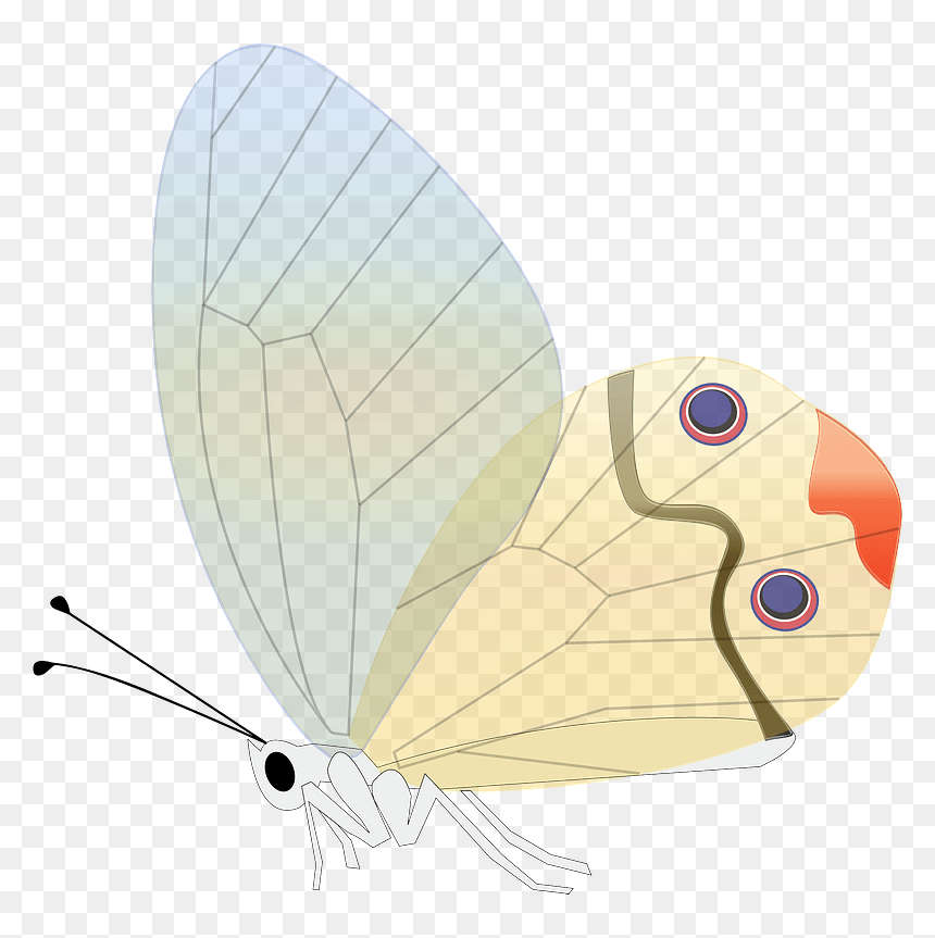 Butterflies, HD Png Download - butterfly .png