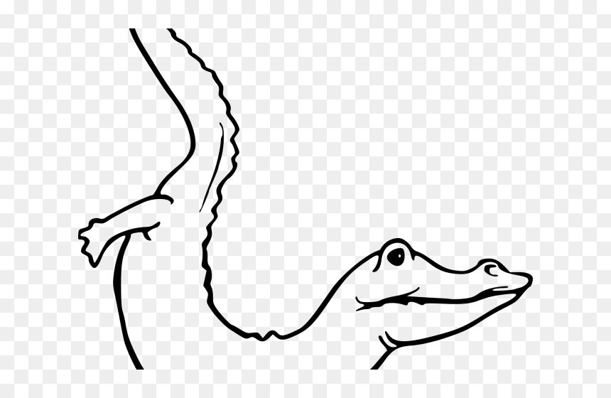 Drawn Head Alligator - Nyambek Kartun, HD Png Download - alligator head png