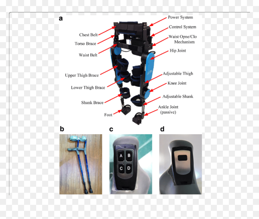 Prices Components Of Lower Limb Exoskeleton Pdf, HD Png Download - crutches png