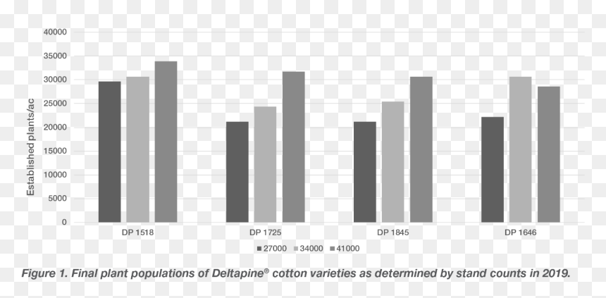 Plot, HD Png Download - cotton plant png
