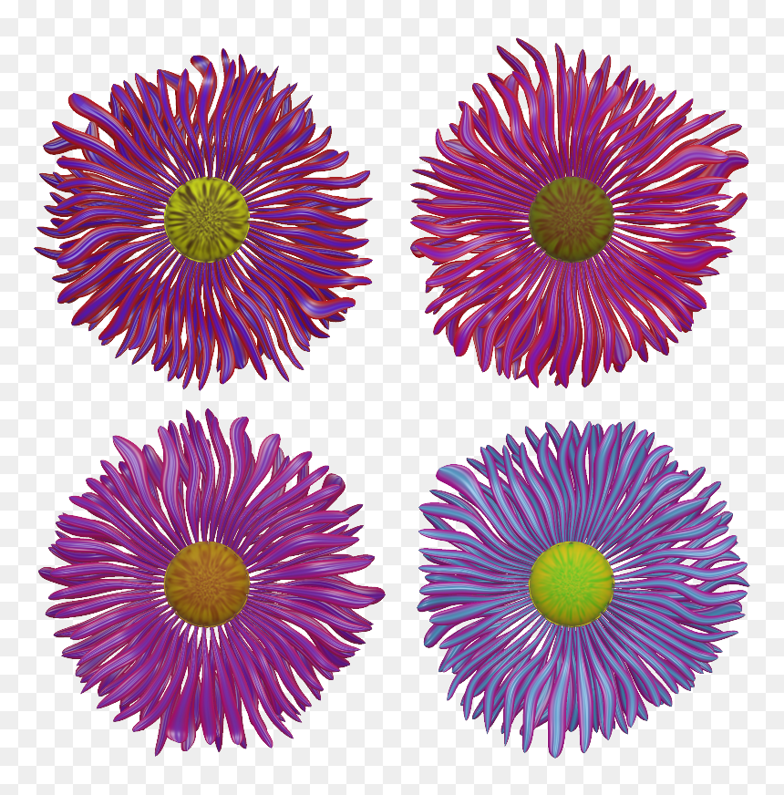 Flower 5 4e - Illustration, HD Png Download - aster png