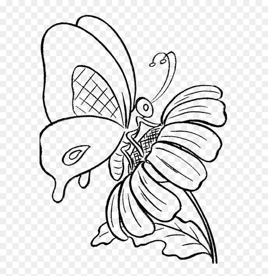 Flower Cartoon Pictures, HD Png Download - butterfly .png
