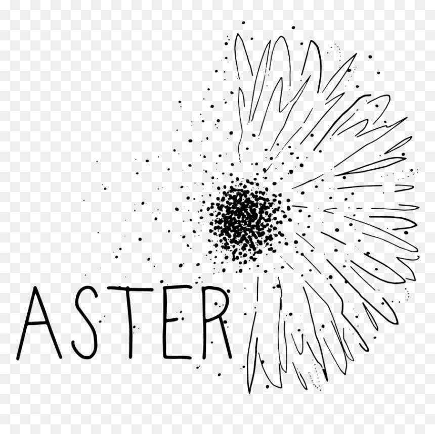 Aster , Png Download, Transparent Png - aster png