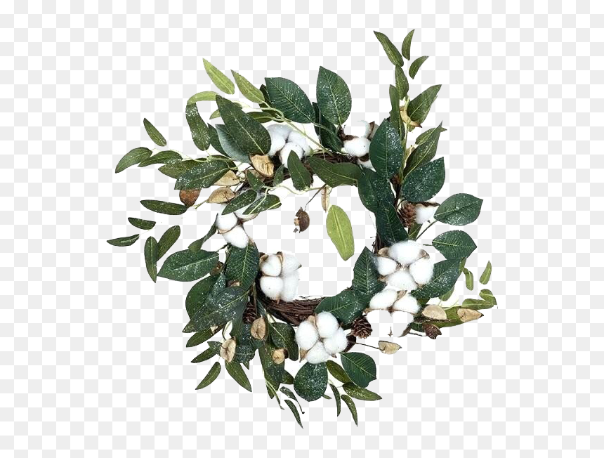 Cotton Png Download Image - Snow, Transparent Png - cotton plant png