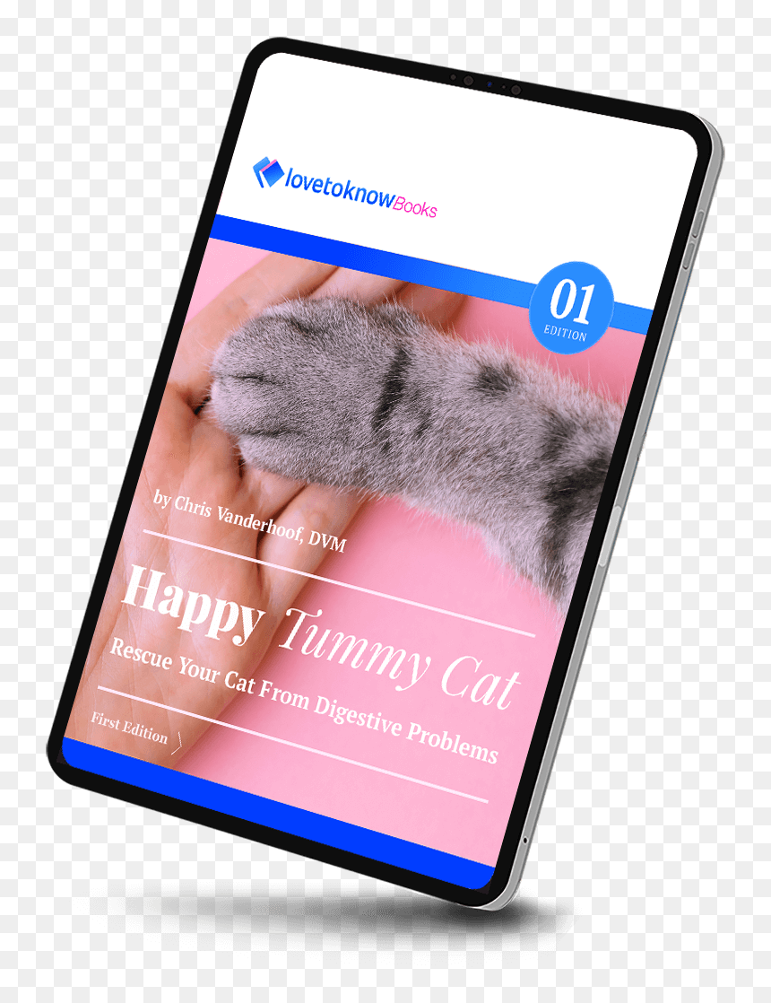 Smartphone, HD Png Download - happy cat png