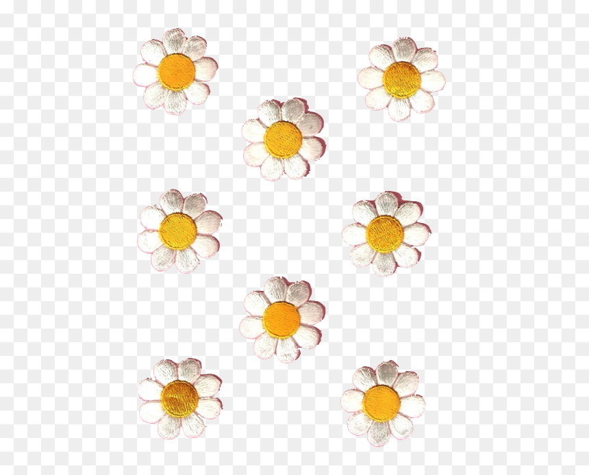 Transparent Daisy - Daisy Family, HD Png Download - daisy png tumblr