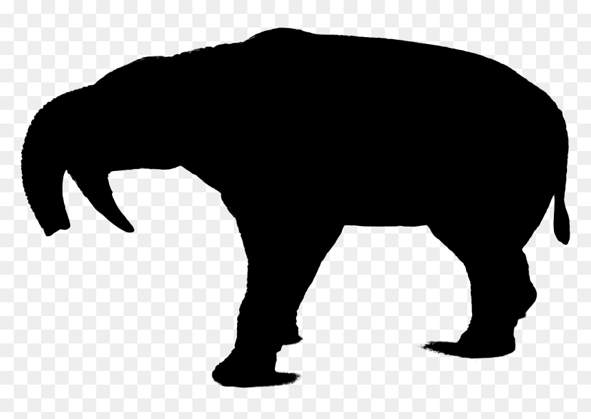 Wolf Silhouette Indian Elephant Bear Art - Angry Wolf Silhouette Png, Transparent Png - wolf art png