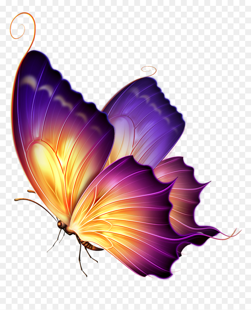 September Clipart Butterfly - Transparent Images Of Butterflies, HD Png Download - butterfly .png