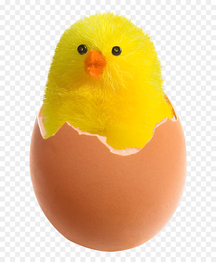 Tiger Png Transparent Image - Cracked Egg With Chick, Png Download - egg.png