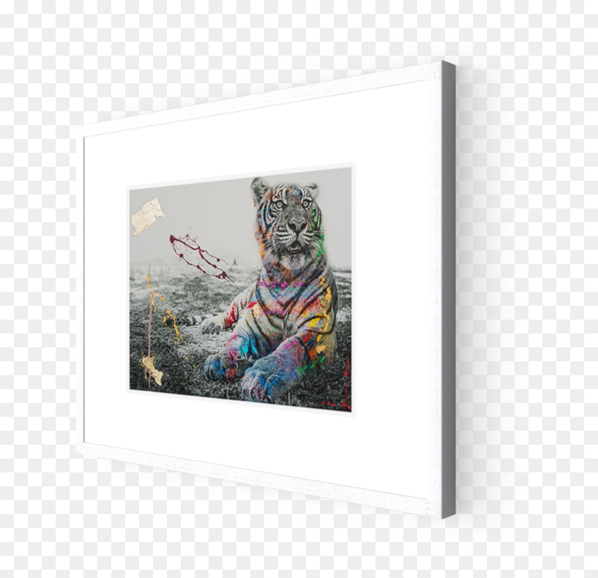 Photo Le Tigre - Bengal Tiger, HD Png Download - tigre png