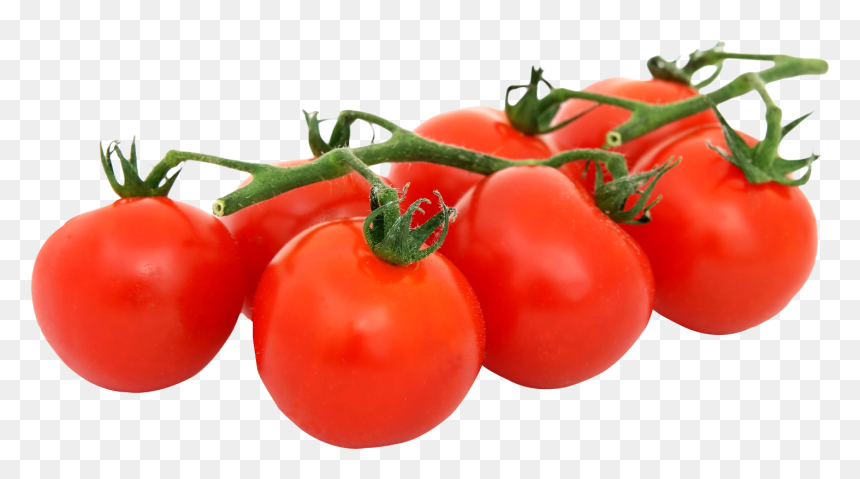 Fresh Tomato Png, Transparent Png - fresh png