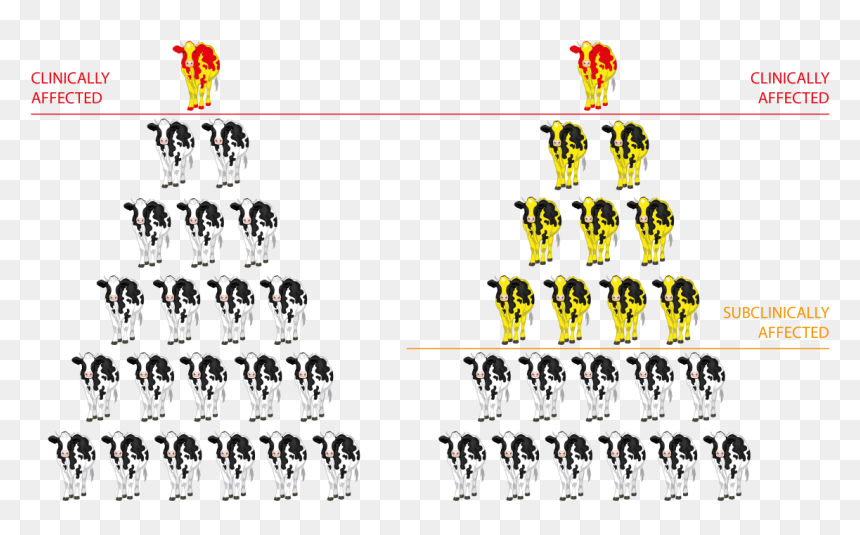 Team, HD Png Download - expensive png
