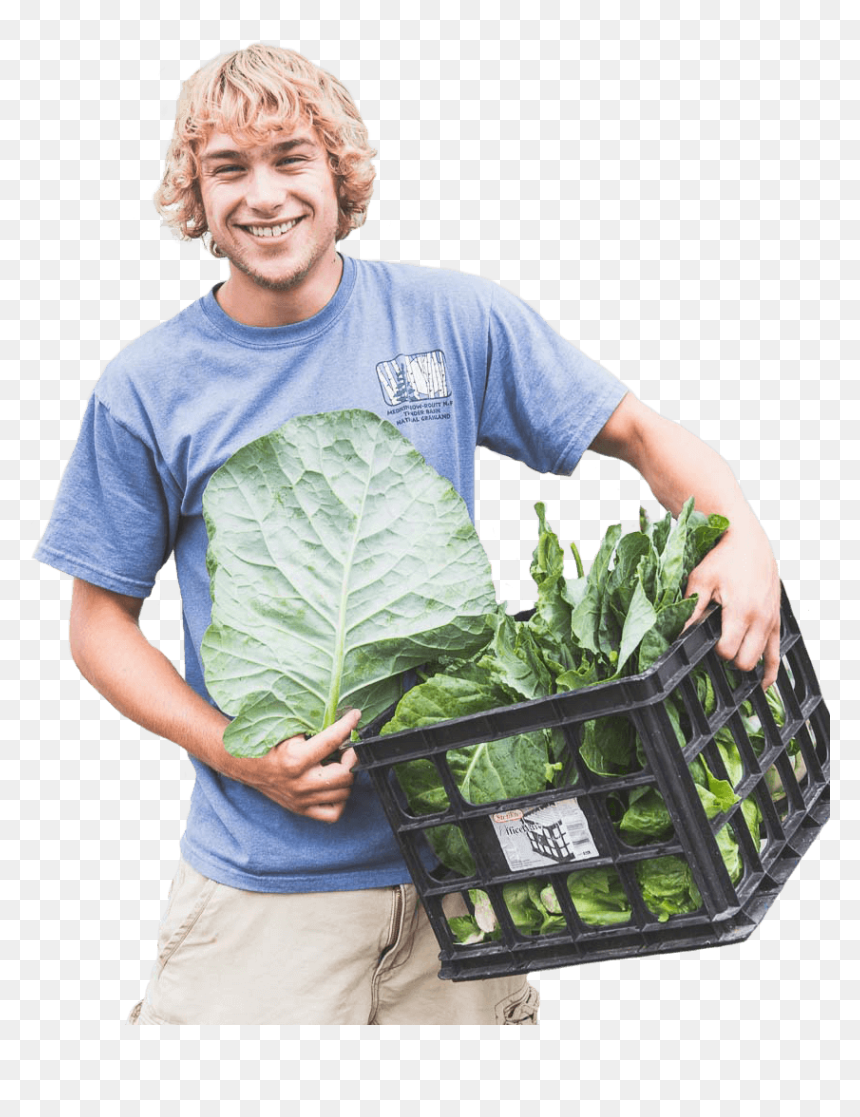 Kapcsolódó Kép Architecture People, Landscape Architecture, - Cut Out People Food, HD Png Download - people photoshop png