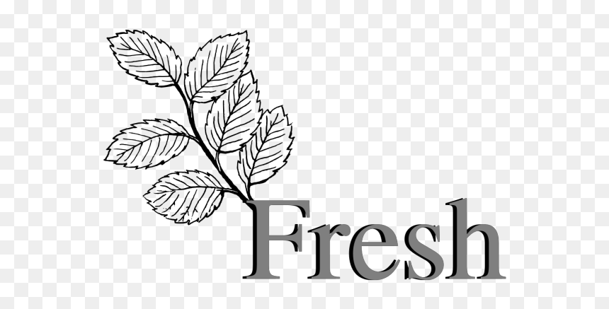 Stawberry Fresh Fruit Png Icons - Leaves Clipart Black And White, Transparent Png - fresh png