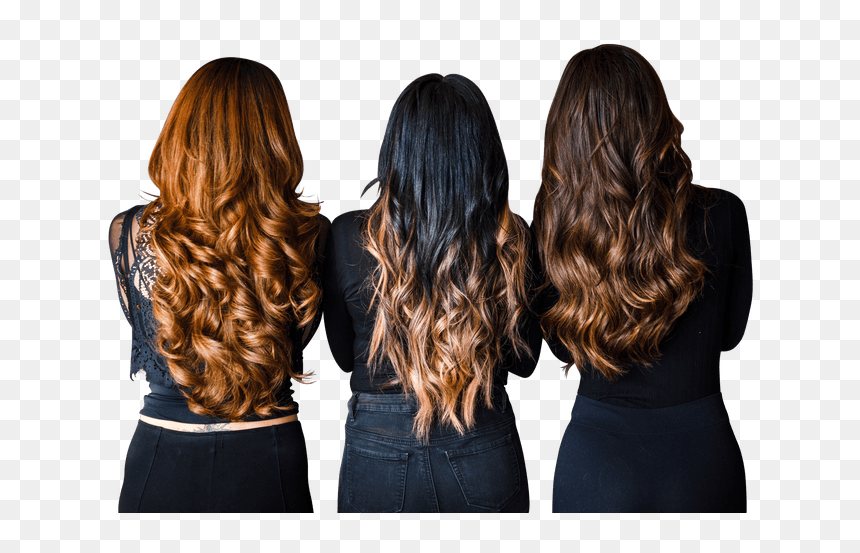 Denver"s Best Hair Extensions Salon - Basic Hair Knowledge, HD Png Download - hair extensions png