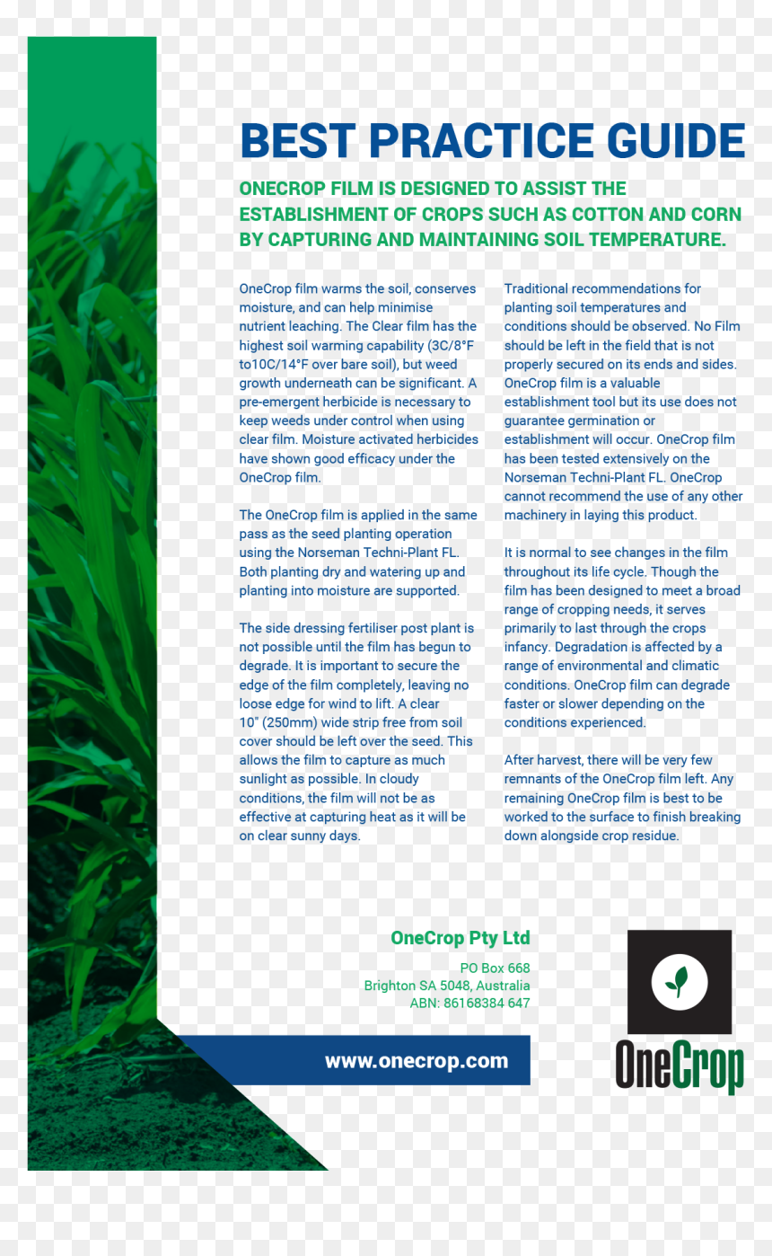 Onecrop Pty Ltd , Png Download - One From Moonstrips Empire News, 99 Of 100 Images And, Transparent Png - cotton plant png