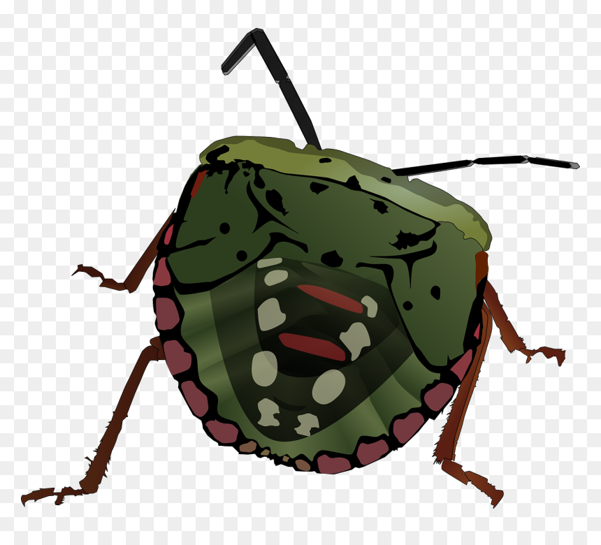 Bug Clip Art, HD Png Download - stink png