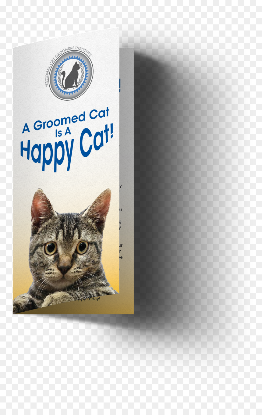 Domestic Short-haired Cat, HD Png Download - happy cat png