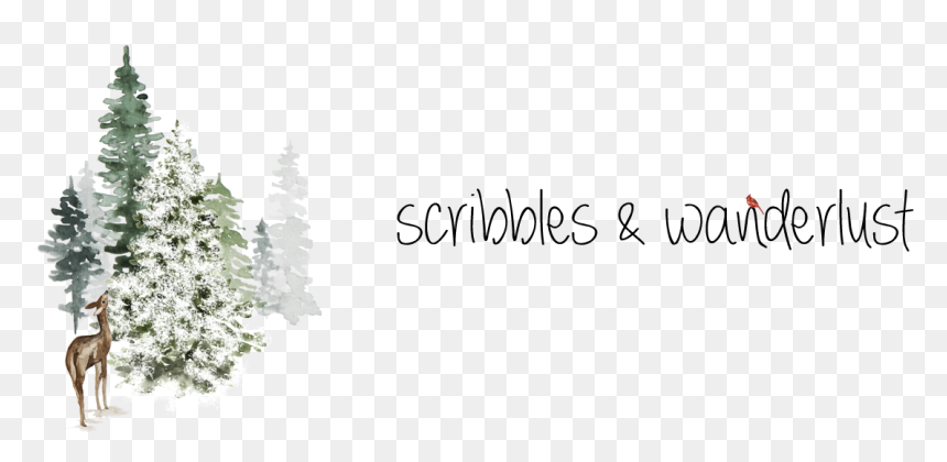 Scribble Line Png , Png Download - Christmas Tree, Transparent Png - scribble line png