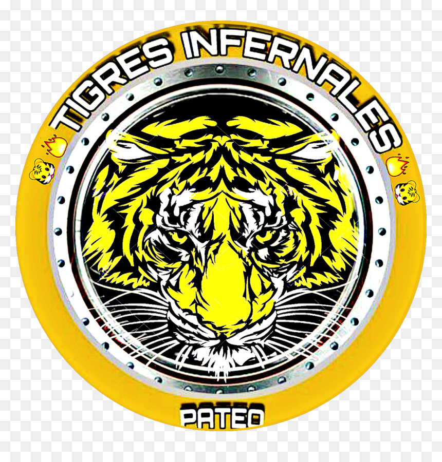 Transparent Tigres Png - Tiger, Png Download - tigre png