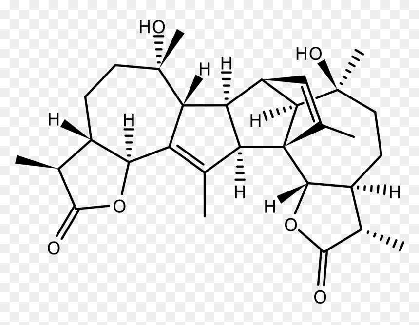 Absinthin, HD Png Download - thin white line png