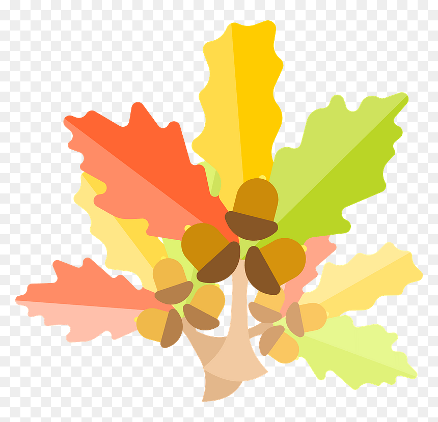Oak Tree Leaves Clipart, HD Png Download - oak trees png