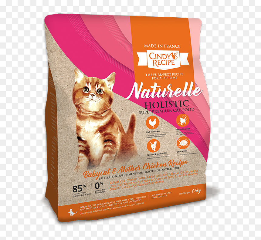 Cindy Recipe Naturelle Holistic Wholesome Chicken, HD Png Download - baby chicken png