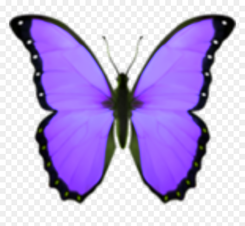Papilio, HD Png Download - purple emoji png