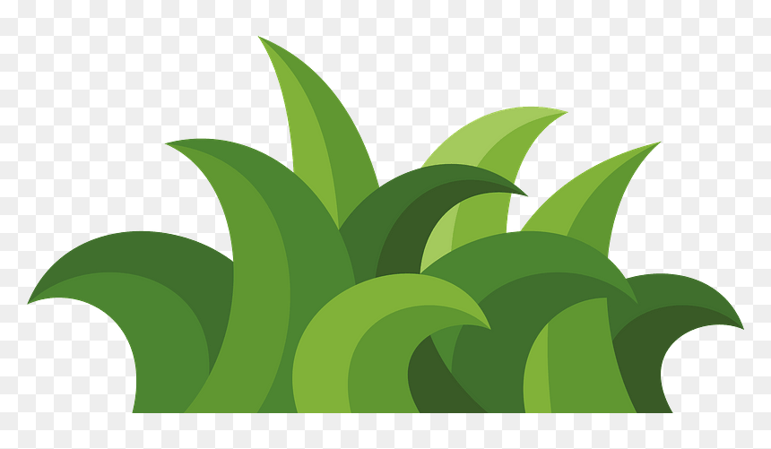 Clip Art, HD Png Download - grass plant png