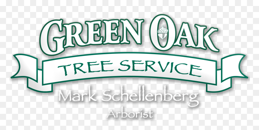 Illustration, HD Png Download - oak trees png
