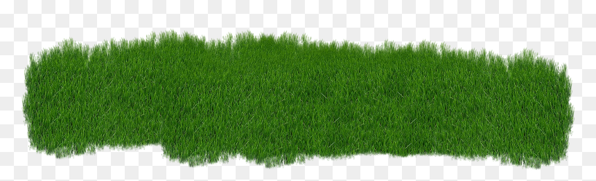 Grass Green Plant Green Grass Nature Summe - Garden Lawn Transparent Png, Png Download - grass plant png