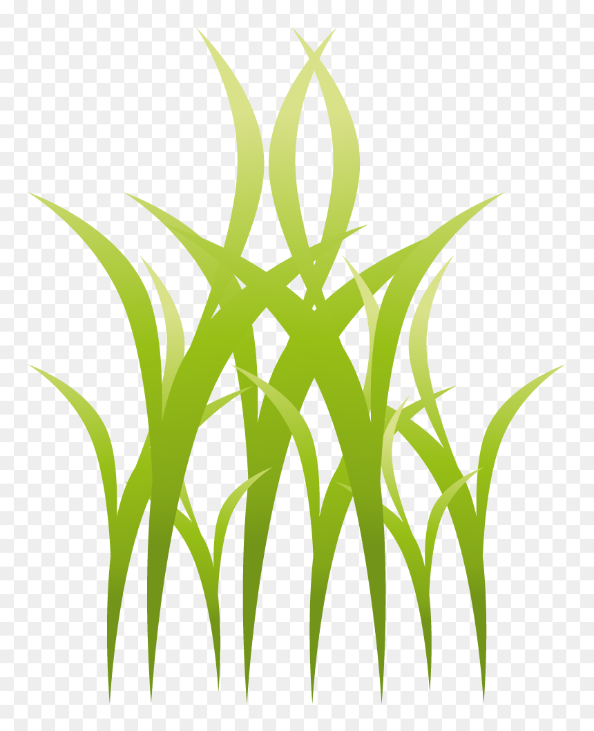 Clip Art, HD Png Download - grass plant png