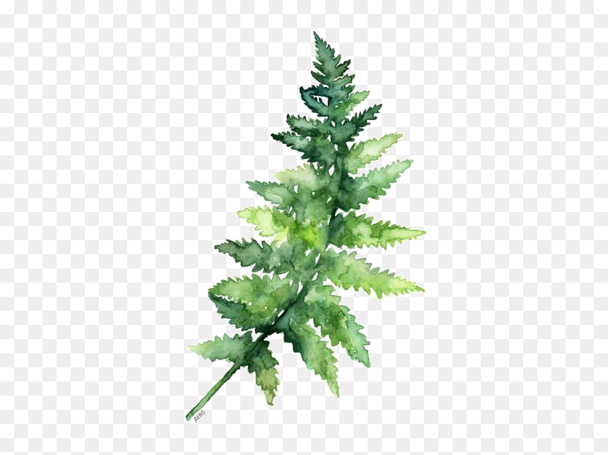 Leaves Fern Watercolor Printing Green Paper Painting - Watercolor Green Leaf Png, Transparent Png - fern leaf png
