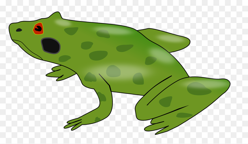 Frog - Clip Art, HD Png Download - wednesday frog png