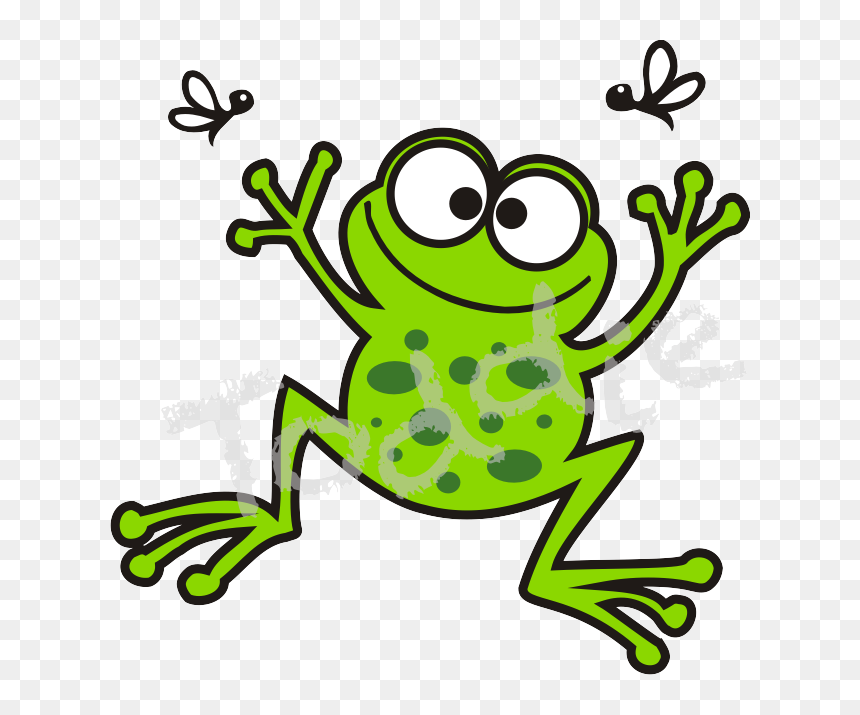 Bã©ka - Bufo, HD Png Download - wednesday frog png