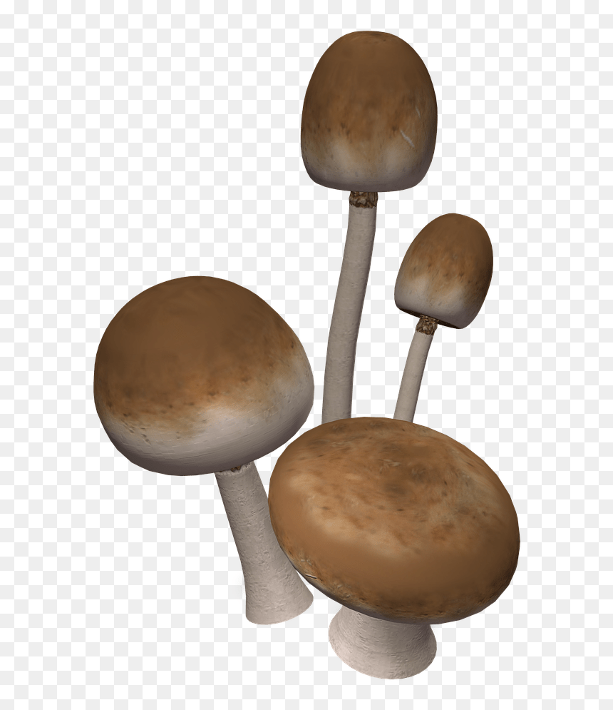 Brown Mushrooms - Mushroom 3d Png, Transparent Png - setas png