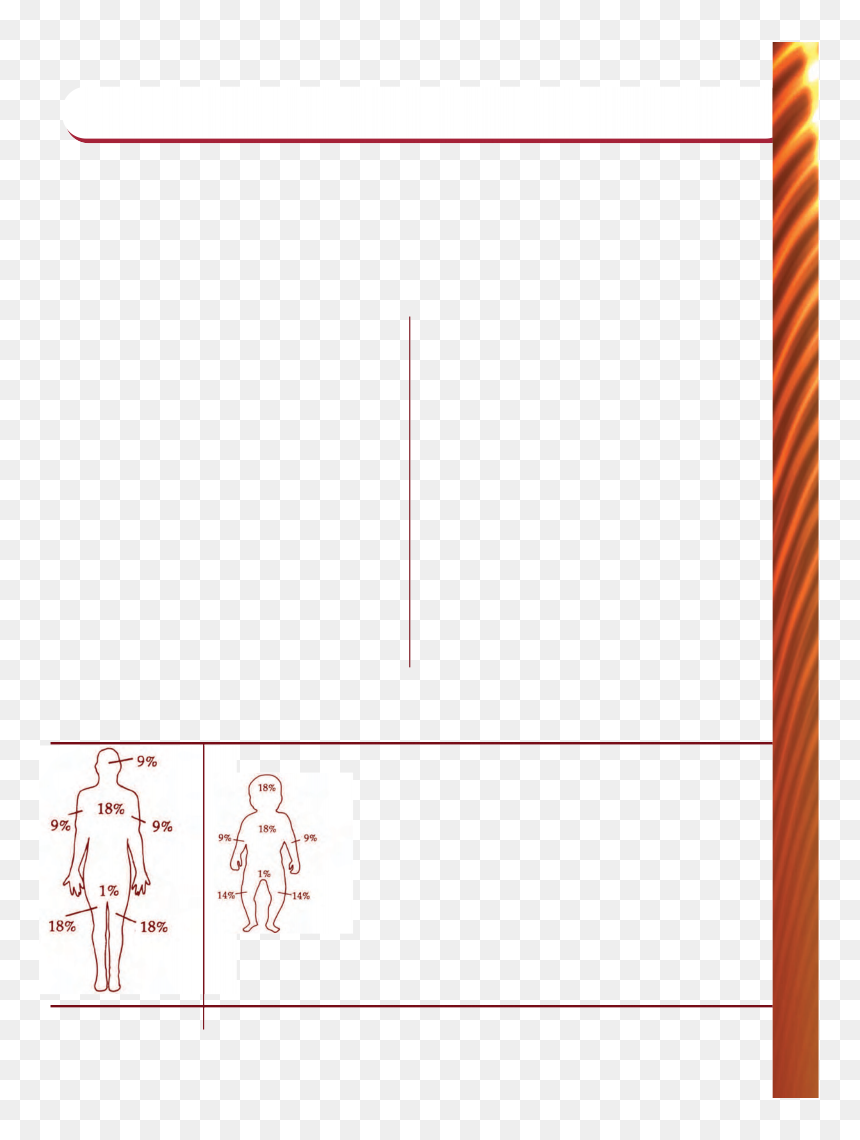Image - Rule Of Nine, HD Png Download - burn marks png