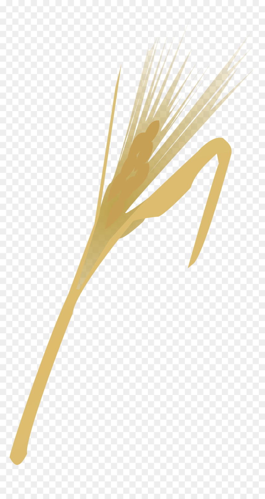 Espiga De Oro Png, Transparent Png - espigas png