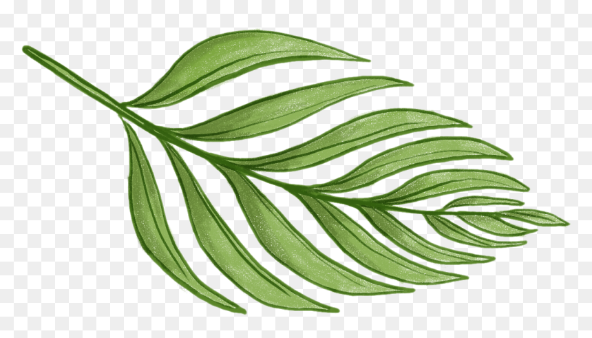 Never Not Knitting - Tropical Green Leaf Png, Transparent Png - fern leaf png