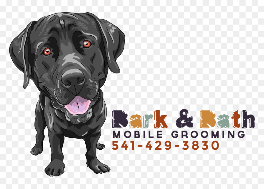 Transparent Dog Bath Png - Pet Illustration Black Lab, Png Download - black lab png
