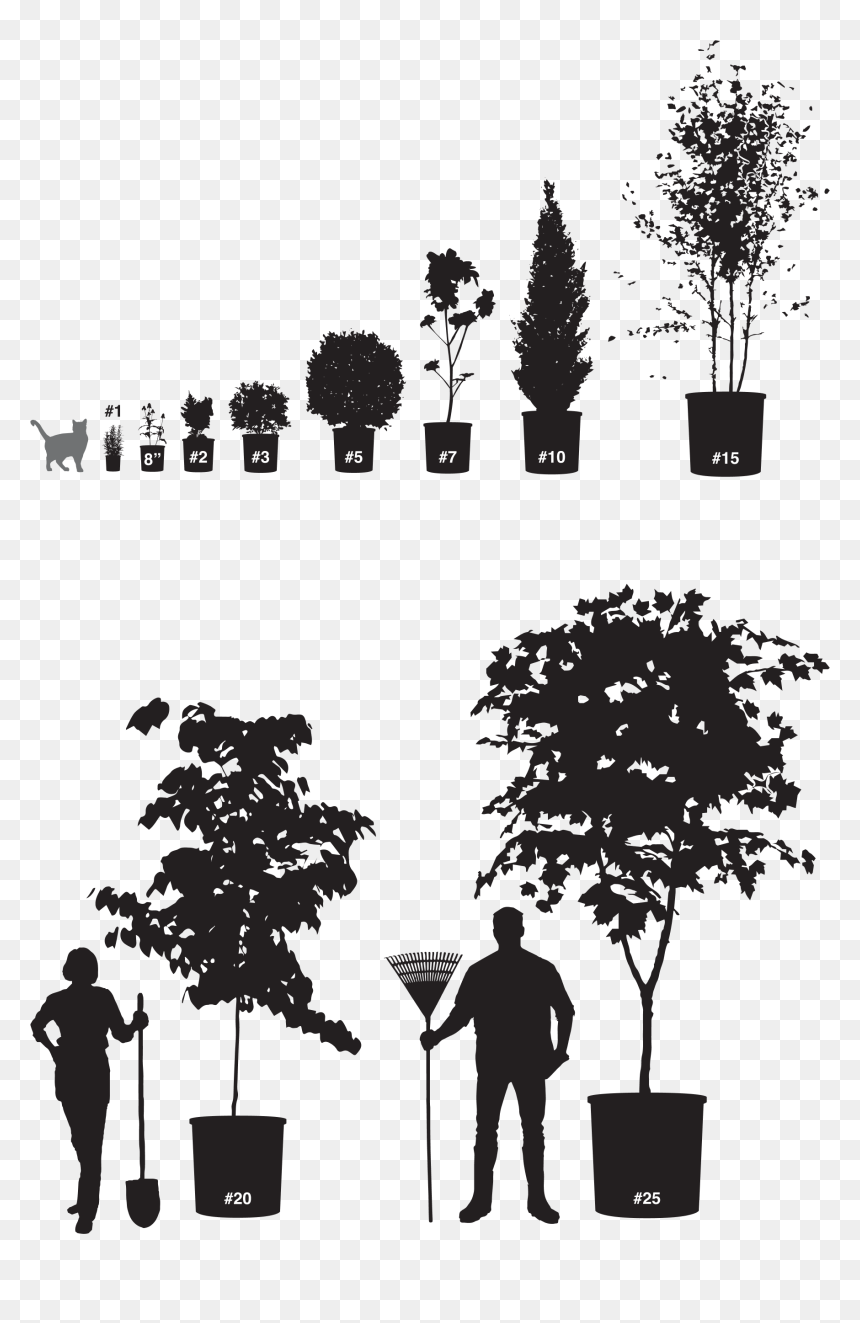 Shrubbucket Container Sizes - Silhouette, HD Png Download - shrub silhouette png