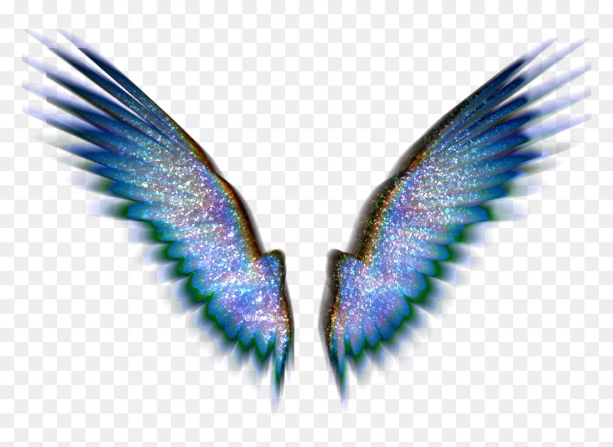 Papilio, HD Png Download - baby angel wings png