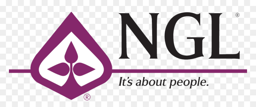 National Guardian Life Insurance Logo - Triangle, HD Png Download - life insurance png