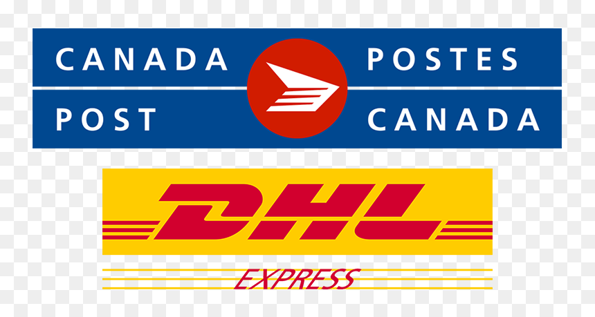 No-title - Dhl Global Forwarding, HD Png Download - obey snapback png